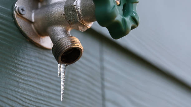 Best Commercial Plumbing Services  in Paynesville, MN